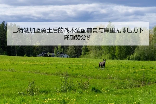 巴特勒加盟勇士后的战术适配前景与库里无球压力下降趋势分析